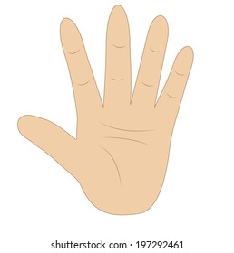 hand, showing number five on white background, vector illustration