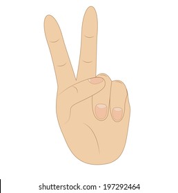 hand, showing number two on white background, vector illustration