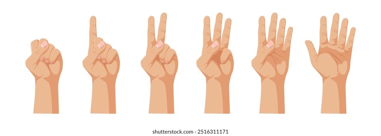 Mano que muestra los números del uno al cinco en un conjunto. Ilustración vectorial