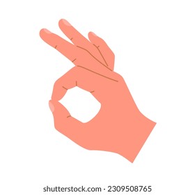 Hand showing OK sign. Human hand gesture. Vector illustration on an isolated white background.