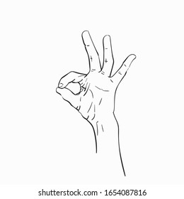 Hand showing Okay gesture, Vector sketch, Hand drawn illustration isolated
