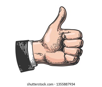 Hand showing symbol Like. Making thumb up gesture icon. Color engraving illustration for web, poster. Hand drawn design element isolated on white background. Vector illustration.