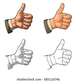Hand showing symbol Like. Making thumb up gesture. Hand drawn design element. Vector color and black vintage engraved and flat illustration isolated on white background. Sign for poster, info graphic