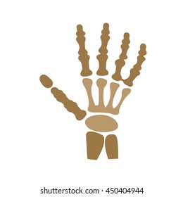 Hand Skeleton