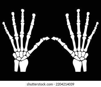 Hand Skeleton bones vector illustration