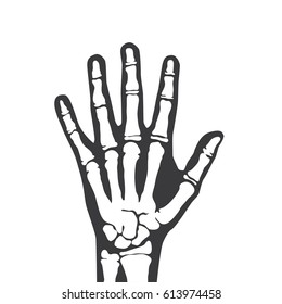 Hand skeleton icon, vector illustration design. Medicine and health care objects.