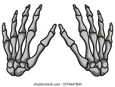 Hand Skeleton Vector Pattern Illustration