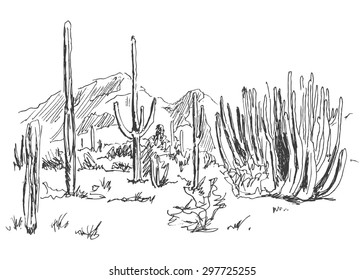 hand sketch American Desert