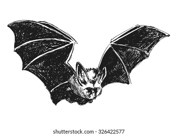 hand sketch bat