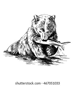 Hand sketch bear catching fish. Vector illustration