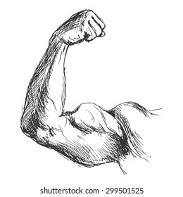 hand sketch biceps