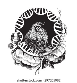 Hand sketch of a bird with black flowers in a circular frame