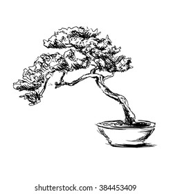 Hand sketch bonsai