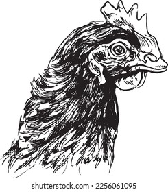 Hand sketch of chicken head. Vector illustration.