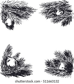 Hand sketch of Christmas twigs. Vector illustration