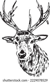 Hand sketch of a deer. Vector illustration.