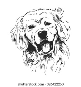 hand sketch dog's head