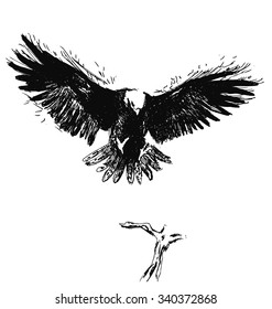 hand sketch eagle