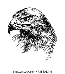 Hand Sketch Eagle Head. Vector illustration