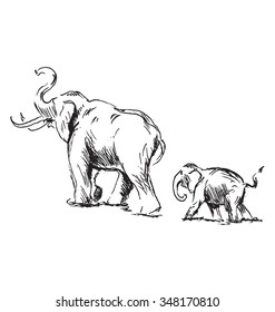 Hand sketch of an elephant with cub