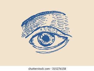 Hand Sketch of an Eye  with Brows Pen and Ink Style. Editable Clip Art.