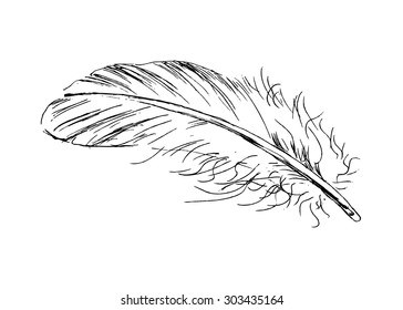 Hand Sketch Feather