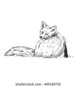 Hand Sketch Fox. Vector Illustration