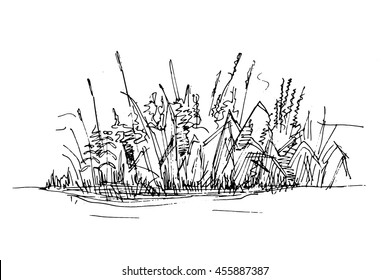 Hand Sketch Grass