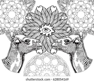 Hand sketch of the head of a camel. Vector illustration.Page for adult colouring book, ethnic design element.