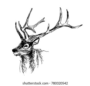 7,362 Woodland animals sketch Images, Stock Photos & Vectors | Shutterstock