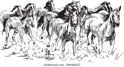 Hand sketch herd of horses. Vector illustration.