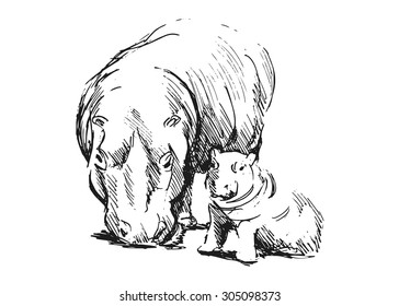 hand sketch of a hippopotamus with a baby