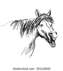 Hand sketch horses with open mouth