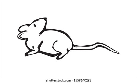 Hand Sketch Illustration Of Rat Hand Drawn Mouse