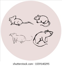 Hand sketch illustration of rats hand drawn mouses
