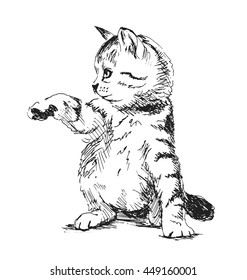 Featured image of post Kitten Sketch Images