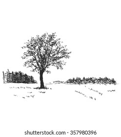 Hand sketch the landscape with tree