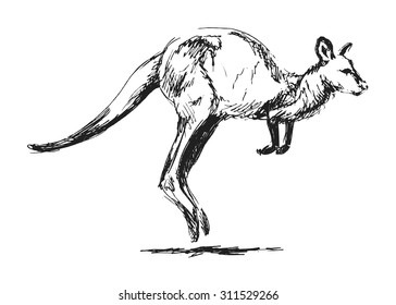 Hand Sketch Leaping Kangaroo