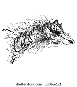 hand sketch leaping tiger