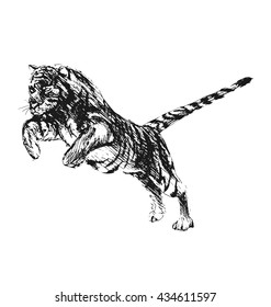 Hand sketch leaping tiger. Vector illustration