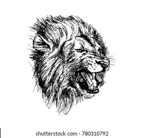 Hand Sketch Lion Head. Vector illustration