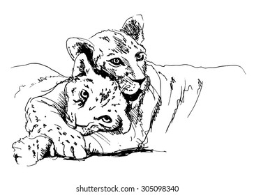 hand sketch lioness with cub