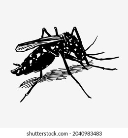 Esbozo de mano mosquito. Ilustración del vector
