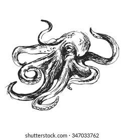 Hand sketch octopus