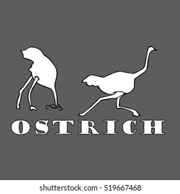 Hand sketch of ostrich, draw.