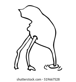 Hand sketch of ostrich, draw.