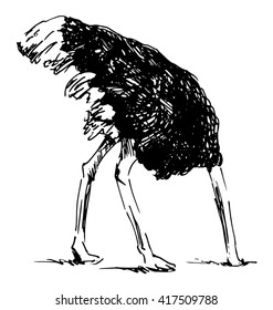 Hand sketch ostrich with your head in the sand