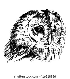 Hand sketch owl head. Vector illustration