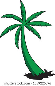 hand sketch palm tree illustration, vector design