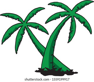 hand sketch palm trees illustration, vector design